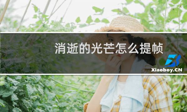 消逝的光芒怎么提帧