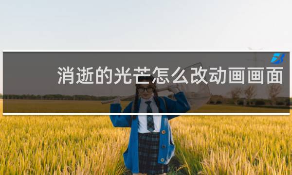 消逝的光芒怎么改动画画面