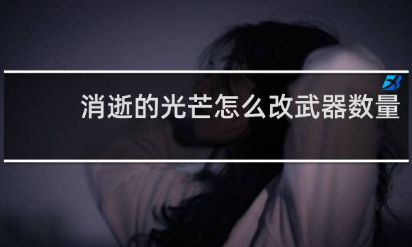 消逝的光芒怎么改武器数量