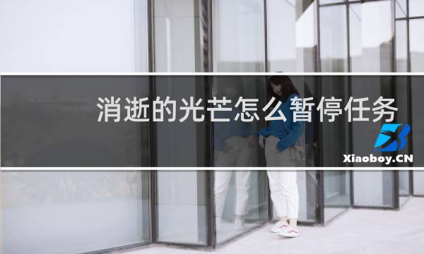 消逝的光芒怎么暂停任务
