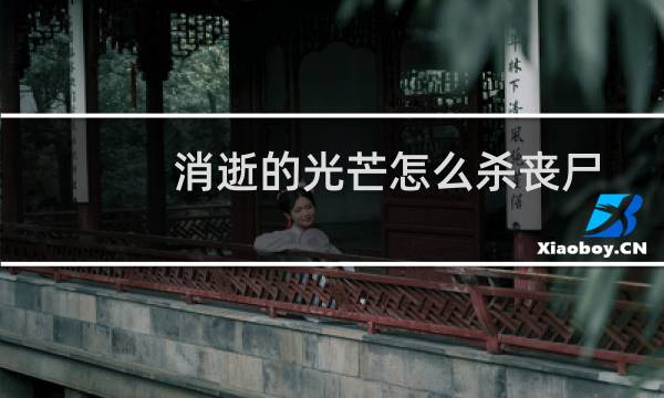 消逝的光芒怎么杀丧尸