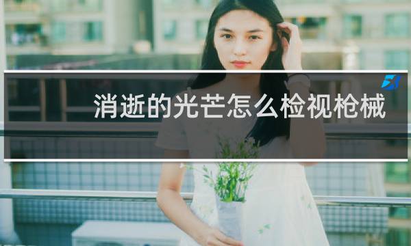 消逝的光芒怎么检视枪械