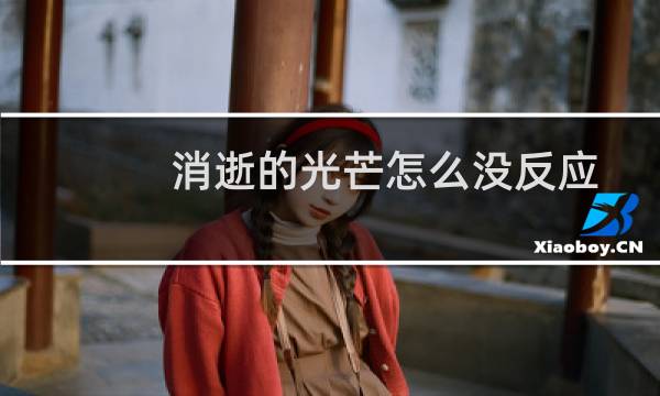 消逝的光芒怎么没反应