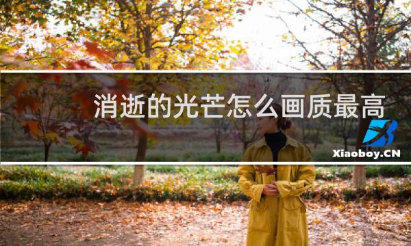 消逝的光芒怎么画质最高