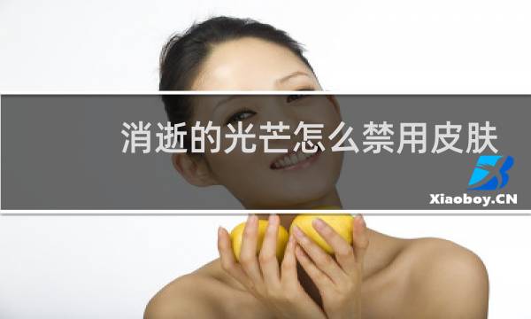 消逝的光芒怎么禁用皮肤
