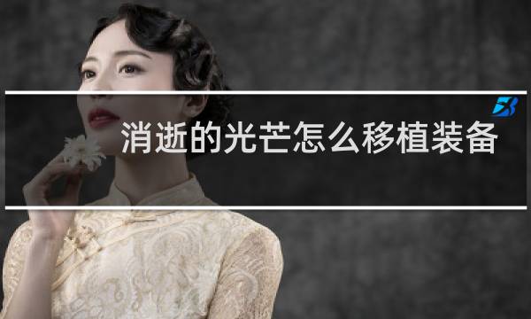 消逝的光芒怎么移植装备