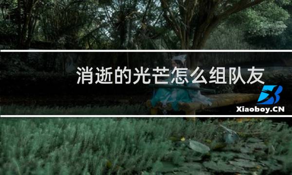 消逝的光芒怎么组队友
