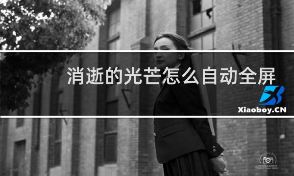 消逝的光芒怎么自动全屏