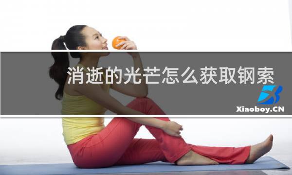 消逝的光芒怎么获取钢索