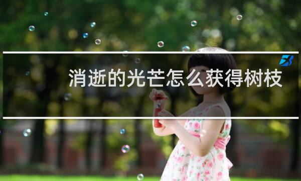 消逝的光芒怎么获得树枝