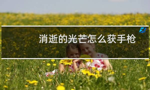 消逝的光芒怎么获手枪