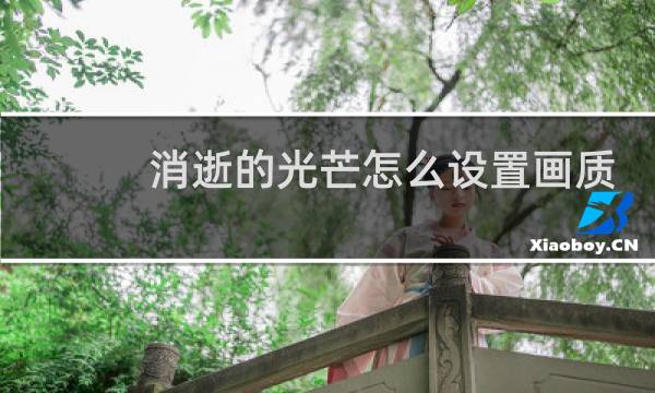 消逝的光芒怎么设置画质