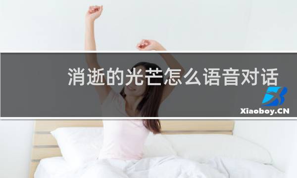 消逝的光芒怎么语音对话