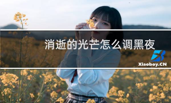 消逝的光芒怎么调黑夜