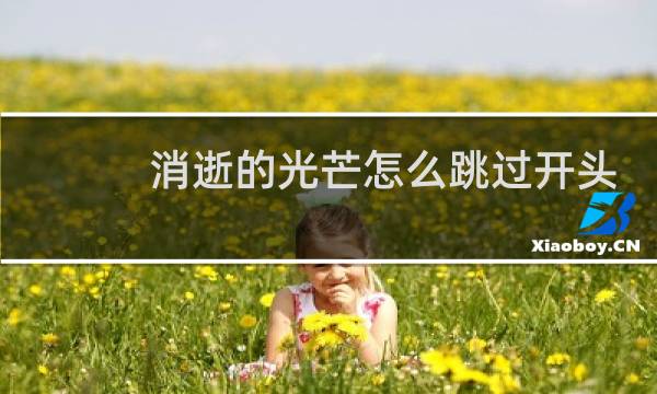 消逝的光芒怎么跳过开头