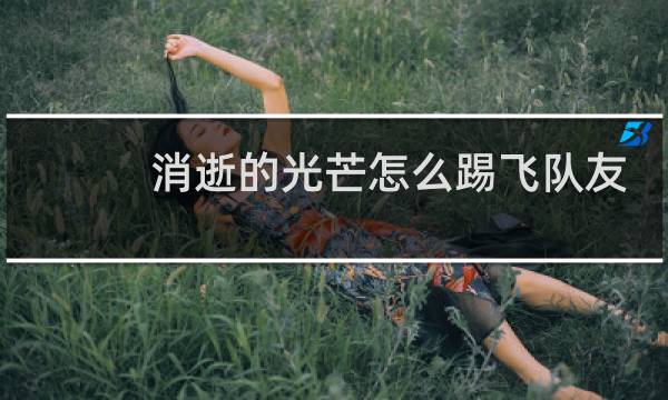 消逝的光芒怎么踢飞队友
