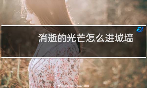 消逝的光芒怎么进城墙