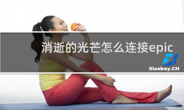 消逝的光芒怎么连接epic