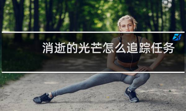 消逝的光芒怎么追踪任务