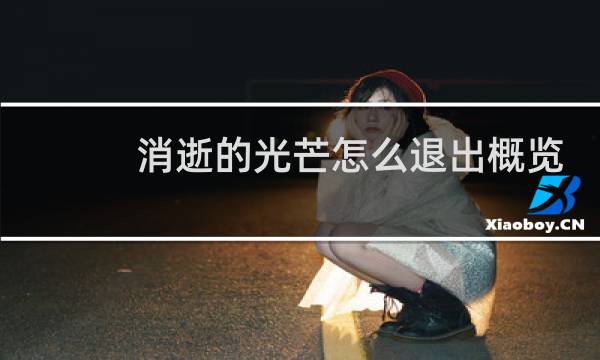消逝的光芒怎么退出概览