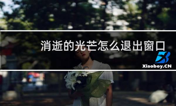 消逝的光芒怎么退出窗口
