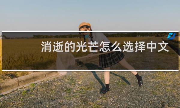 消逝的光芒怎么选择中文