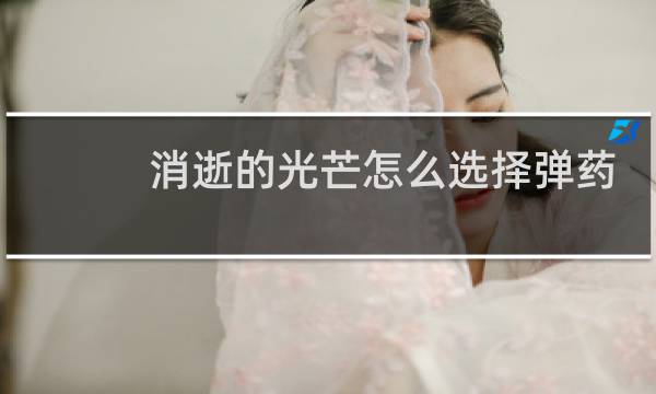 消逝的光芒怎么选择弹药