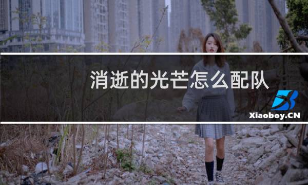 消逝的光芒怎么配队