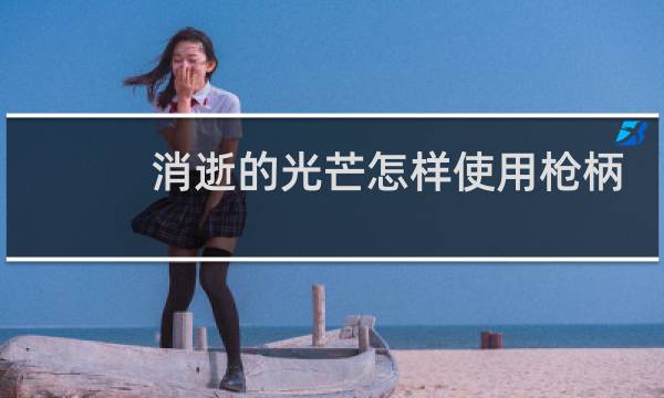 消逝的光芒怎样使用枪柄