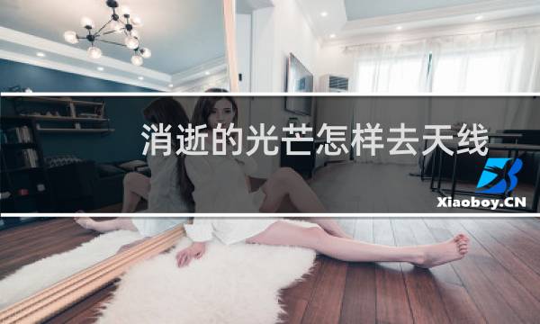 消逝的光芒怎样去天线