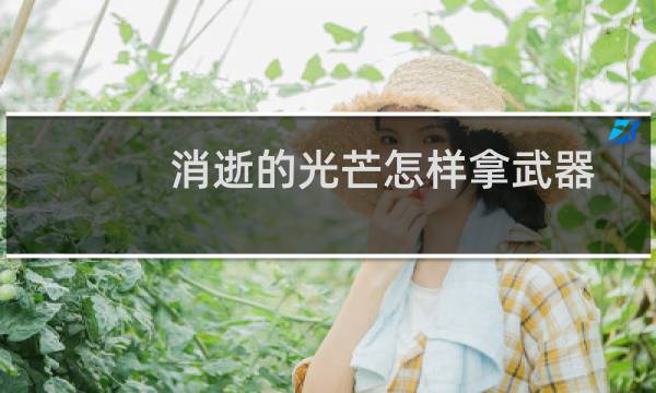消逝的光芒怎样拿武器