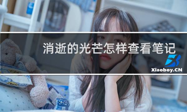 消逝的光芒怎样查看笔记