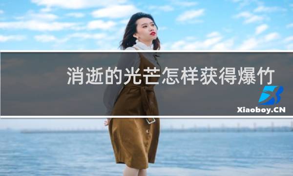 消逝的光芒怎样获得爆竹