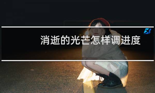 消逝的光芒怎样调进度
