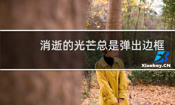 消逝的光芒总是弹出边框