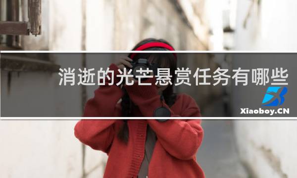 消逝的光芒悬赏任务有哪些