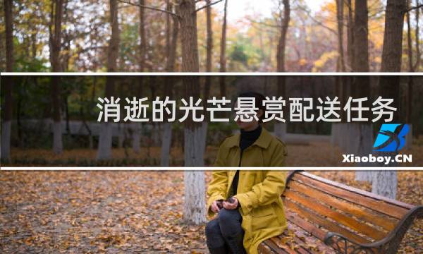 消逝的光芒悬赏配送任务