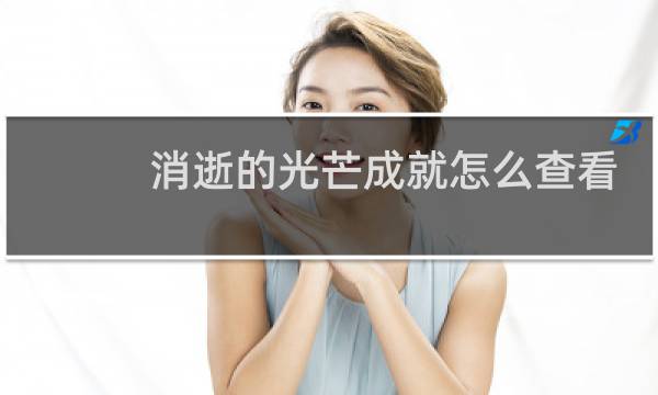 消逝的光芒成就怎么查看