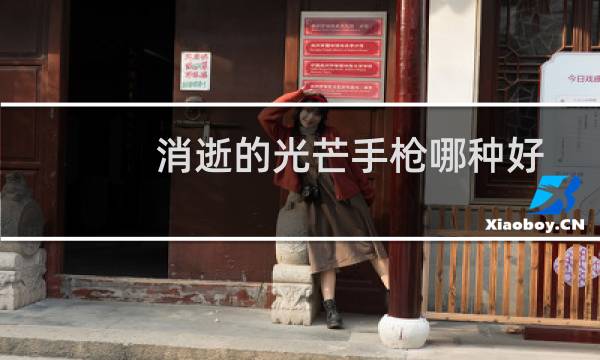 消逝的光芒手枪哪种好