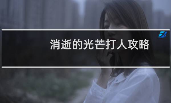 消逝的光芒打人攻略