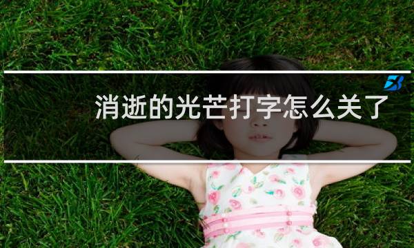 消逝的光芒打字怎么关了