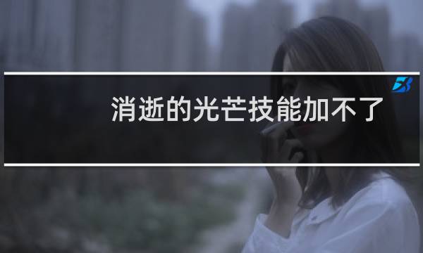 消逝的光芒技能加不了