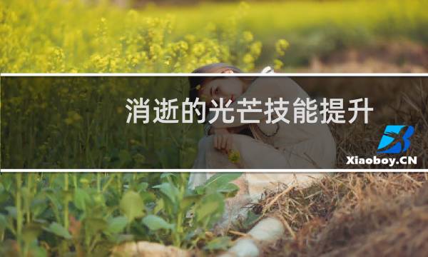 消逝的光芒技能提升