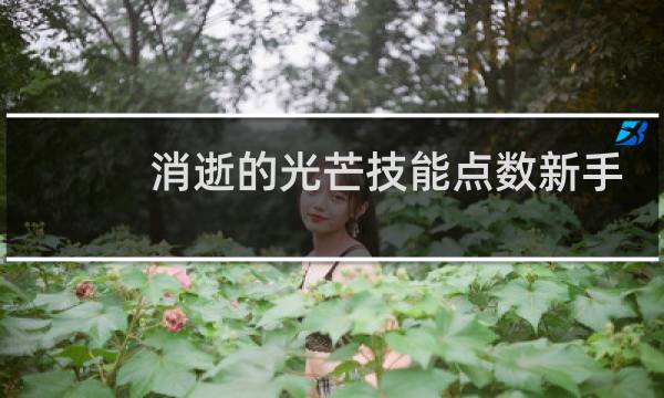 消逝的光芒技能点数新手