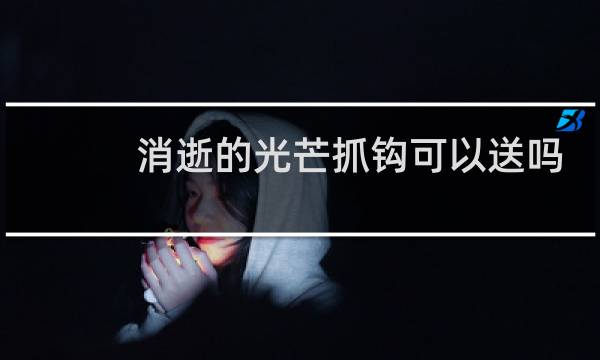消逝的光芒抓钩可以送吗