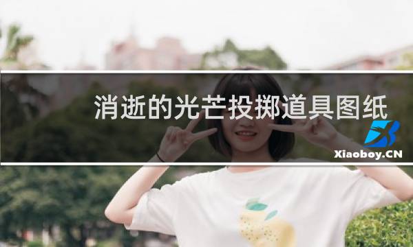 消逝的光芒投掷道具图纸