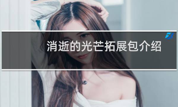 消逝的光芒拓展包介绍