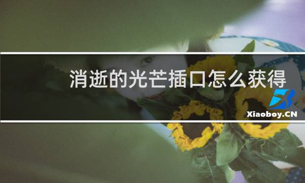 消逝的光芒插口怎么获得