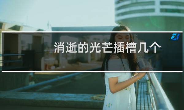 消逝的光芒插槽几个