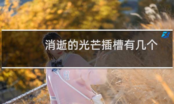 消逝的光芒插槽有几个